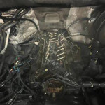 automotive repair / Dirty myrtle automotive