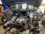 Audi Porsche Volkswagen Master Certified Automotive Repair Specialist!