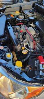 Local Auto Repair services. Walking Welcome.