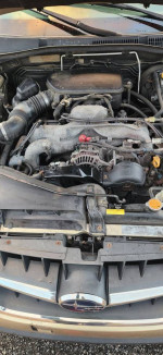 Local Auto Repair services. Walking Welcome.