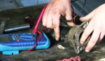 🛻Mobile alternator 🚗and starter repair 🚗🚗