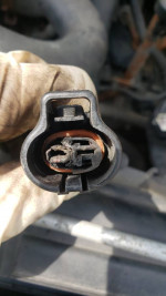 Dunn Right Diagnostics Auto Repair