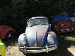 Vw Repair In Wendell ( Old Vw's )