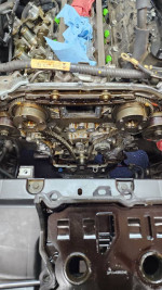 Experienced Local Automotive Technician Available!