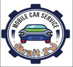 PROFESSIONAL MOBILE MECHANIC