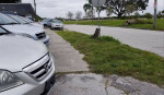 BRAKES $49* AC STRUTS ALTERNATOR $89* ENGINE TRANSMISSION MECHANIC