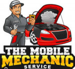 ASE certified mobile mechanic !!! same day apt. Military discount