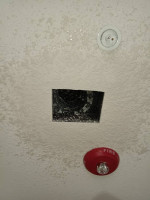 DNA TEXTURING&DRYWALL of Orlando LLC