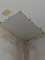 DNA TEXTURING&DRYWALL of Orlando LLC