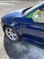 Platinum touch auto body mobile