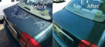 Lee county CAR PAINTERS