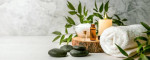 Massage therapist