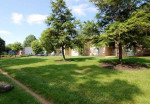 Tile Flooring, 55 Acres of Mature Trees/Landscaping, 2B/1B