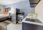Refrigerator, Sink, Wireless Internet, Furnished Unit*
