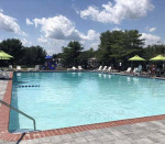 1bed/1bath, 1st floor unit with den