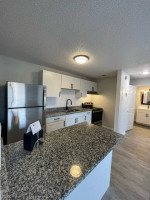 1BD/ 1BA READY NOW!