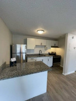 1BD/ 1BA READY NOW!
