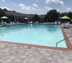 1bed/1bath, 1st floor unit with den