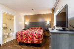 Studio, Free Parking, Siegel Rewards Program