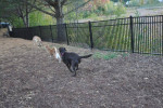 Get 1 Month Free! 2br heat INCLUDED! Pets! In-Unit W&D!