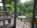 historic mansion 60 elm st back up for rent