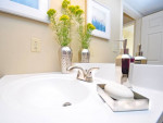 3B/1.5B, Private Patios/Balconies, Pet Friendly