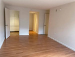MODERN apartment by Central/Harvard Square