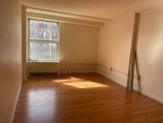 MODERN apartment by Central/Harvard Square