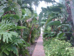 WILTON MANORS 1/1 $$$ MOVE IN SPECIALS $$$