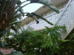WILTON MANORS 1/1 $$$ MOVE IN SPECIALS $$$