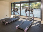 Your dog or cat is welcome! Amazing pet-friendly 1 BR / 1 BA!