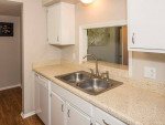 Your dog or cat is welcome! Amazing pet-friendly 1 BR / 1 BA!