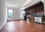 AFFORDABLE FULLY RENOVATED NICE SIZED NATURAL LIGHTING GW BRIDGE VIEWS