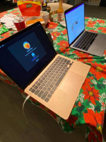 MacBook Air (pink) / MacBook Pro (metal)