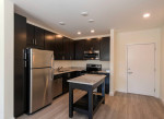 Your Search Ends Here: Element at Ghent One Bedroom