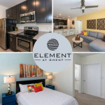 Fun and Hip Two Bedroom Apartments In Ghent