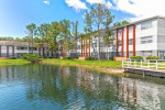1/BD 1/BA, Located in Tampa, Playscape Area