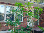 Nice Room in top located area