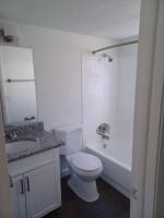 TIMBER TRACE APARTMENTS! 2 X 1 MOVE IN TODAY REMODELED