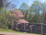 Apartments at Ledgewood Village Apartments! (Asheville, NC)