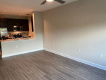 Luxury 3 Bedroom Apartment Available NOW!