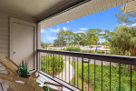 In Sarasota, 1 bedroom, Poolside Shaded Hammocks