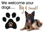 PET FRIENDLY 2 BEDROOM AVAILABLE NOW!