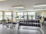 In Norfolk, Rental Kayaks & Paddle Boards, 2B/2B