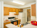 Visit Your New Home, Pet Friendly, Berber Carpet