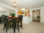 Visit Your New Home, Pet Friendly, Berber Carpet