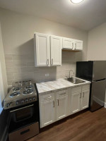 #420 Newly renovated 1-bedroom historic apartment