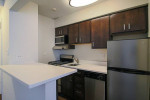 Super studio in Gold Coast allows pets and has beautiful roof deck