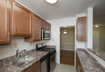 1 BR/1 BA at Mason Hall. Pet-Friendly Community in Alexandria