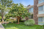 1/bd 1/ba
